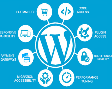 Wordpress Developer